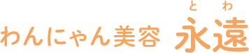 わんにゃん美容 永遠