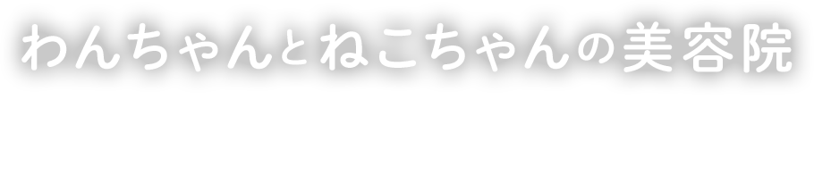 わんちゃんとねこちゃんの美容院